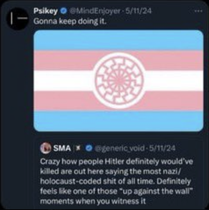 Reply from @MindEnjoyer on May 5, 2024: "Gonna keep doing it." Attached is a trans pride flag with a pink Sonnenrad icon in the center.