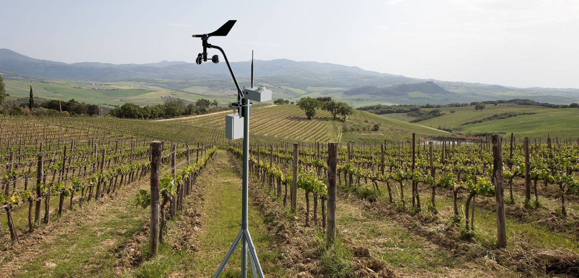 Solarcrop, Strahlungssensor für Beregnung