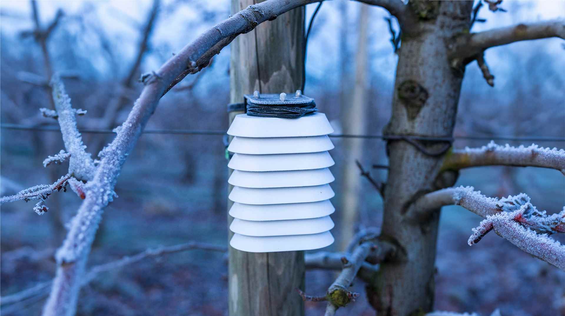 Thermocrop: die neue Lösung bei Frost