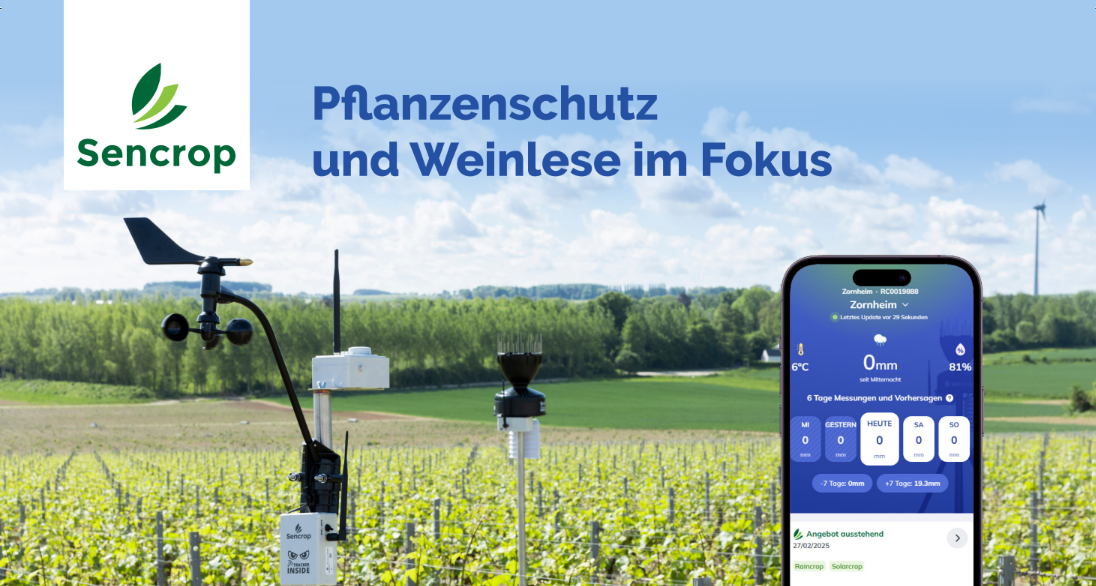 Interview - Pflanzenschutz und Weinlese im Fokus
