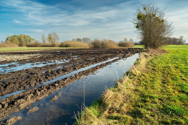 November 2023:  Landwirtschaftliche Betriebe vom Regen stark betroffen