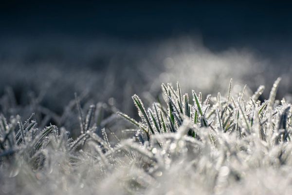 Im Februar gab es in Deutschland den ersten strengen Frost des Winters