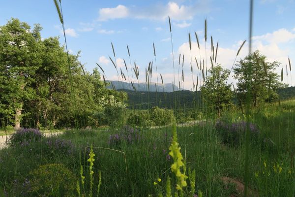 Deutschland: Ihre saisonale Prognose für den Frühling