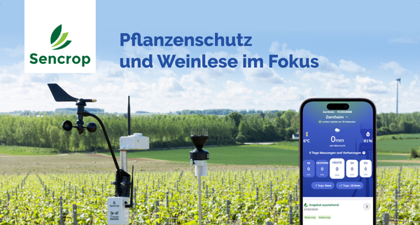Interview - Pflanzenschutz und Weinlese im Fokus