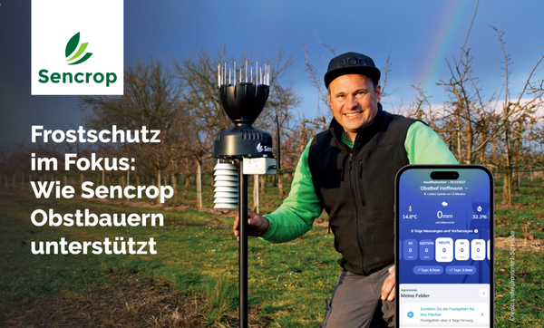 Frostschutz im Fokus: Wie Sencrop Obstbauern unterstützt
