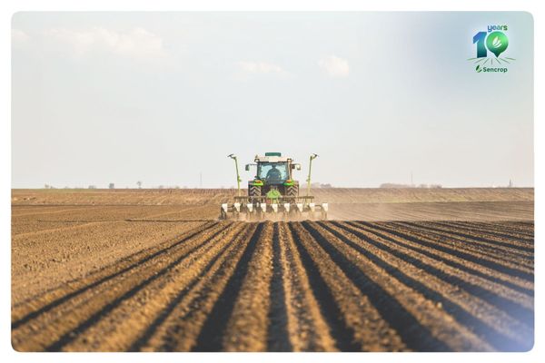 Frühjahrsaussaat: Warum das lokale Wetter den entscheidenden Unterschied macht