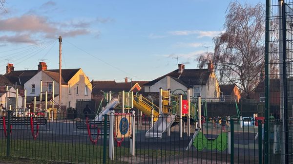 Leaf It To The People: Public Participation In Maple Park