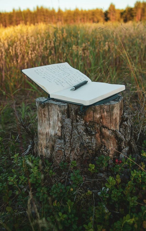 How Writing Saved My Life