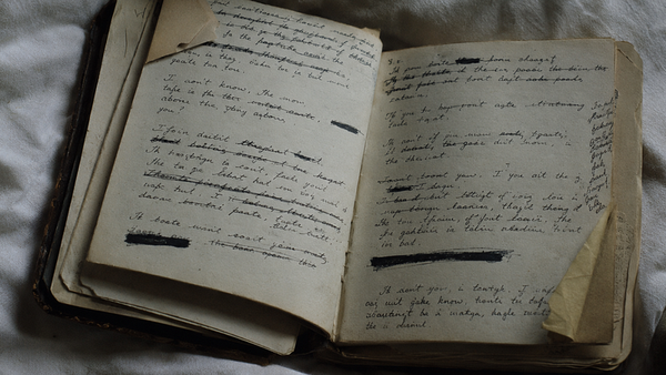 A worn journal lies open, its pages filled with handwritten text — lines crossed out, words blacked out with ink, and notes c