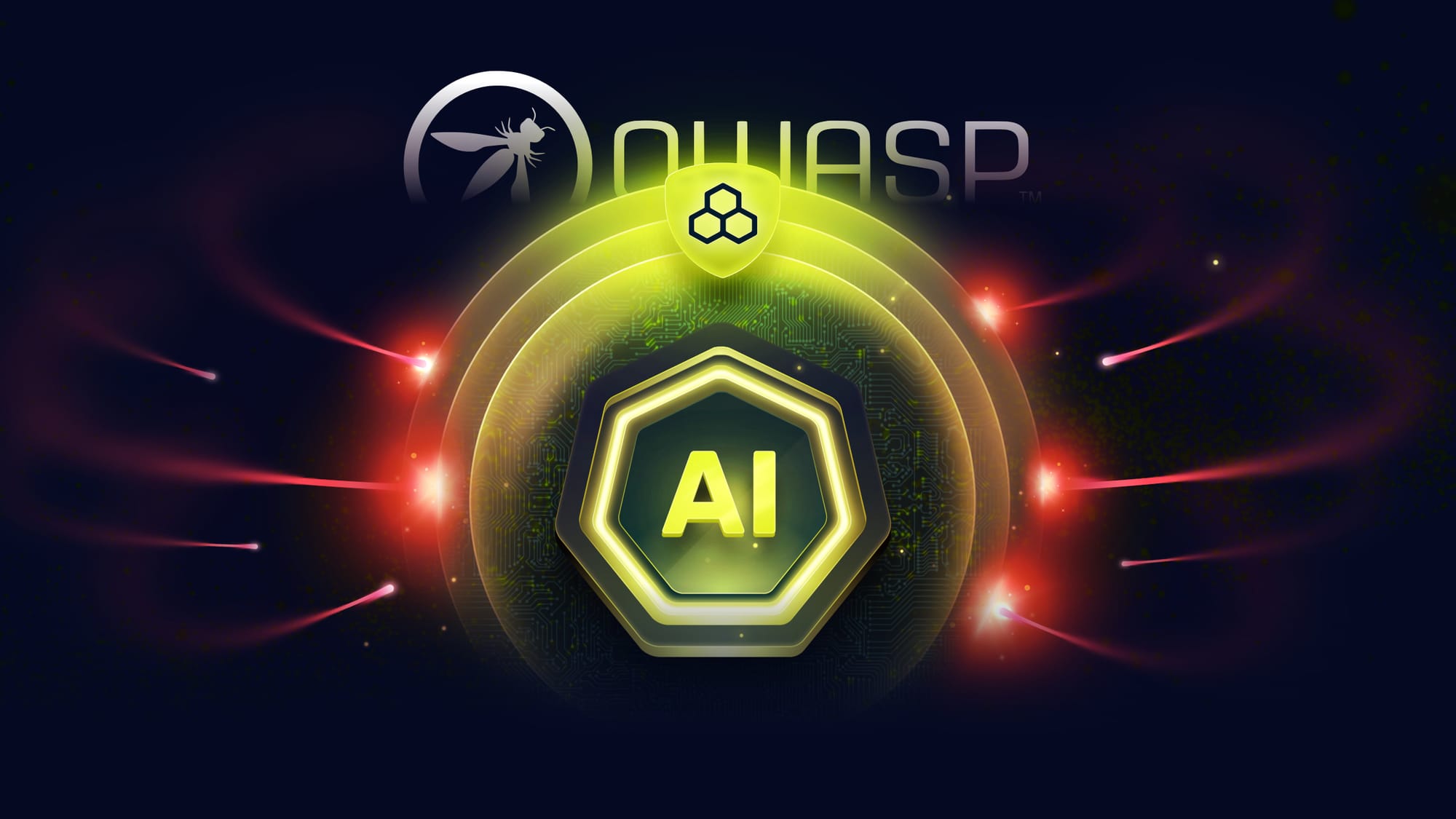 protecting against the owasp ai top 10