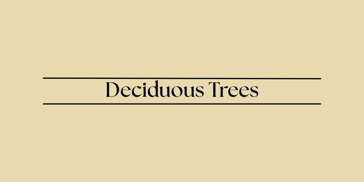 Deciduous Trees