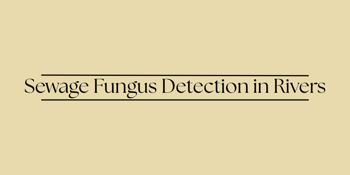 Sewage Fungus Detection in Rivers