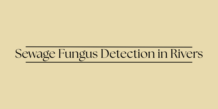 Sewage Fungus Detection in Rivers