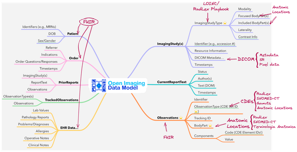 Data Model: Structure and Function