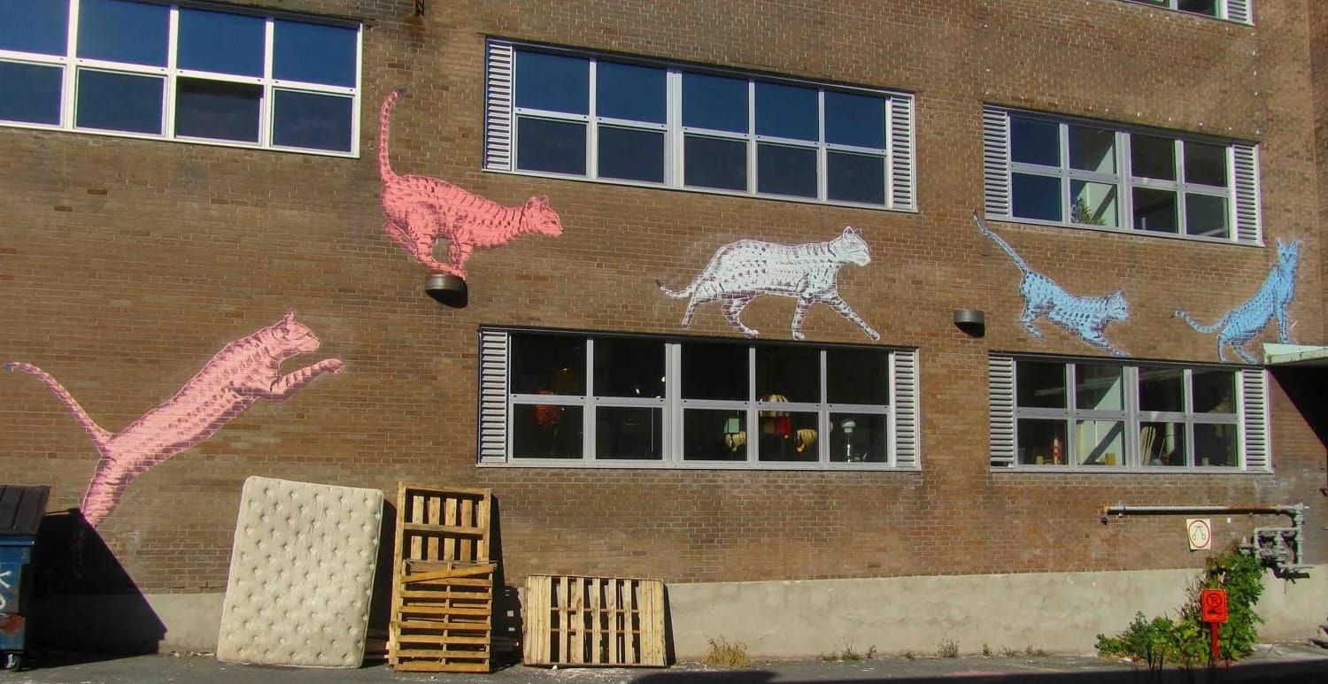 34‣ Appliquer le modèle de la Réponse à l'intervention (niveau 1)