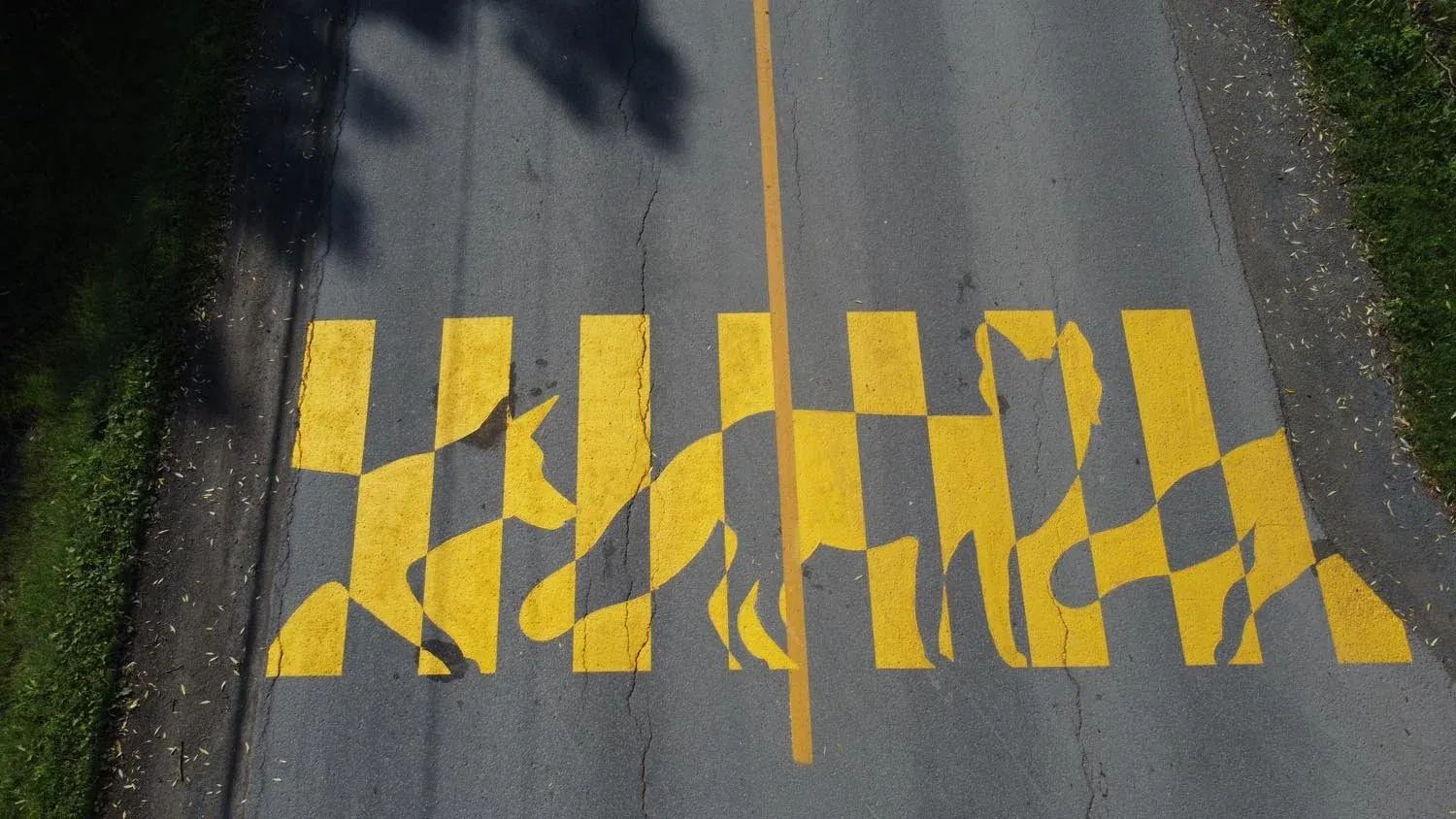 22‣ Voir la tricherie autrement