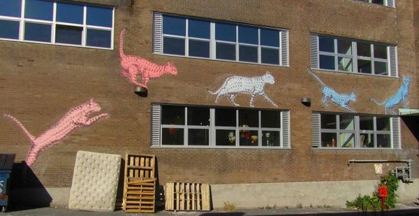 34‣ Appliquer le modèle de la Réponse à l'intervention (niveau 1)