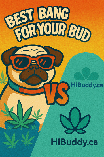 BBFYB vs HiBuddy: What’s the Best Way to Find Legal Weed in Canada?