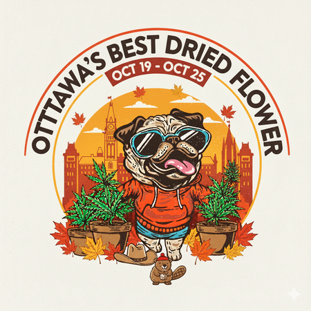 Ottawa’s Best-Selling Dried Flowers – Week of October 19–25, 2025