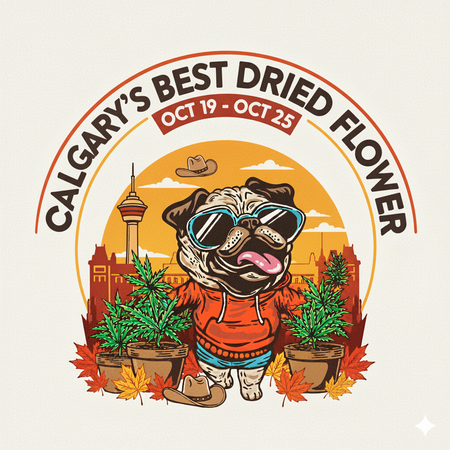 Calgary’s Best-Selling Dried Flowers – Week of October 19–25, 2025