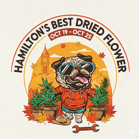 Hamilton’s Best-Selling Dried Flowers – Week of October 19–25, 2025