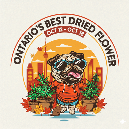 Ontario’s Best-Selling Dried Flowers – Week of October 12–18, 2025
