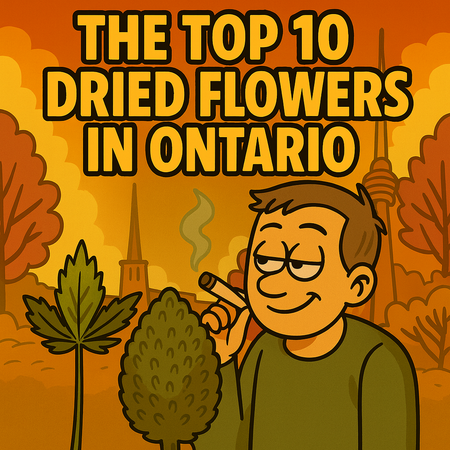 Ottawa’s Best-Selling Dried Flowers – Week of September 22–28, 2025