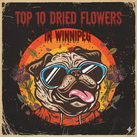 Winnipeg’s Best-Selling Dried Flowers – Week of November 2–8, 2025