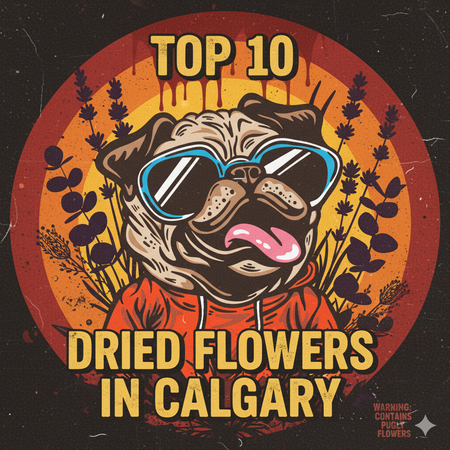 Calgary’s Best-Selling Dried Flowers – Week of November 2–8, 2025