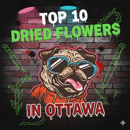 Ottawa’s Best-Selling Dried Flowers – Week of November 2–8, 2025