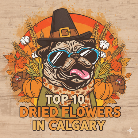 Calgary’s Best-Selling Dried Flowers – Week of November 9–15, 2025
