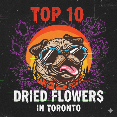 Toronto’s Best-Selling Dried Flowers – Week of November 2–8, 2025
