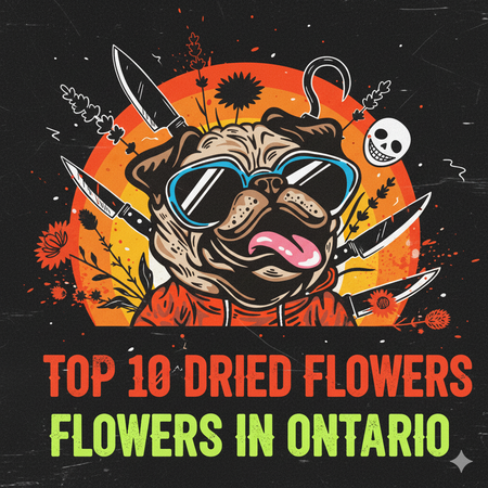 Ontario’s Best-Selling Dried Flowers – Week of November 2–8, 2025