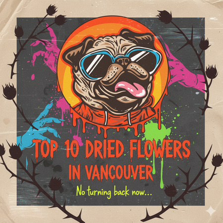 Vancouver’s Best-Selling Dried Flowers – Week of November 2–8, 2025