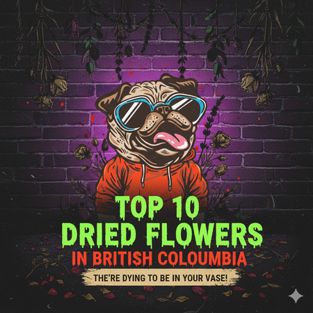 British Columbia’s Best-Selling Dried Flowers – Week of November 2–8, 2025