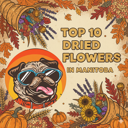 Manitoba’s Best-Selling Dried Flowers – Week of November 9–15, 2025