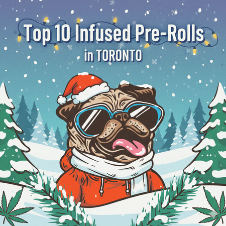 Toronto’s Best-Selling Infused Pre-Rolls – January 18–24, 2026