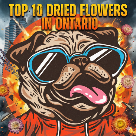 Ontario’s Best-Selling Dried Flower – January 4–10, 2026
