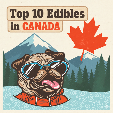 Canada’s Best-Selling Edibles – February 15–21, 2026