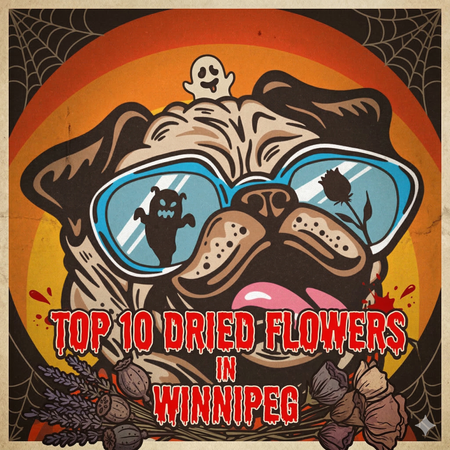 Winnipeg’s Best-Selling Dried Flower - March 1-7, 2026