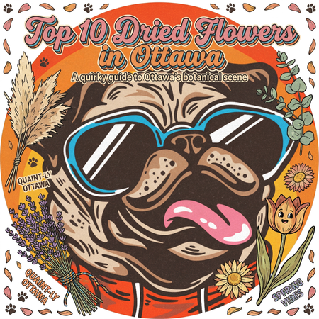 Ottawa’s Best-Selling Dried Flower - March 22-28, 2026