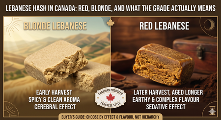 Lebanese hash in Canada: red, blonde, and what the grade actually means