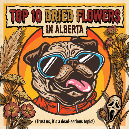 Alberta’s Best-Selling Dried Flower - May 31-June 6, 2026