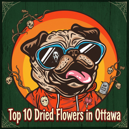 Ottawa’s Best-Selling Dried Flower - May 31-June 6, 2026