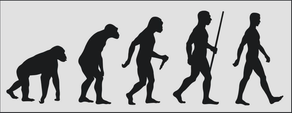 From Ape to Adult