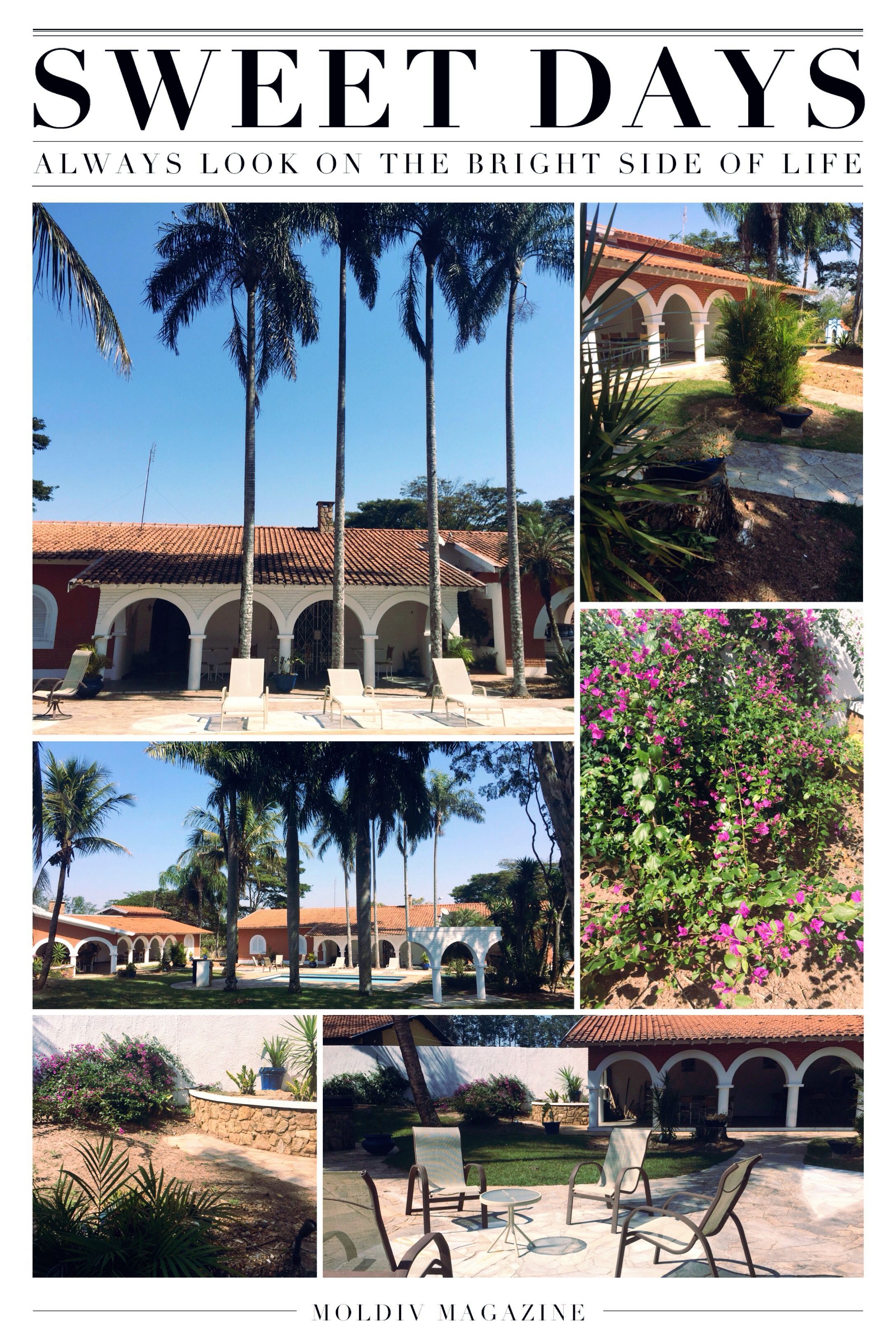 feriado de carnaval garça