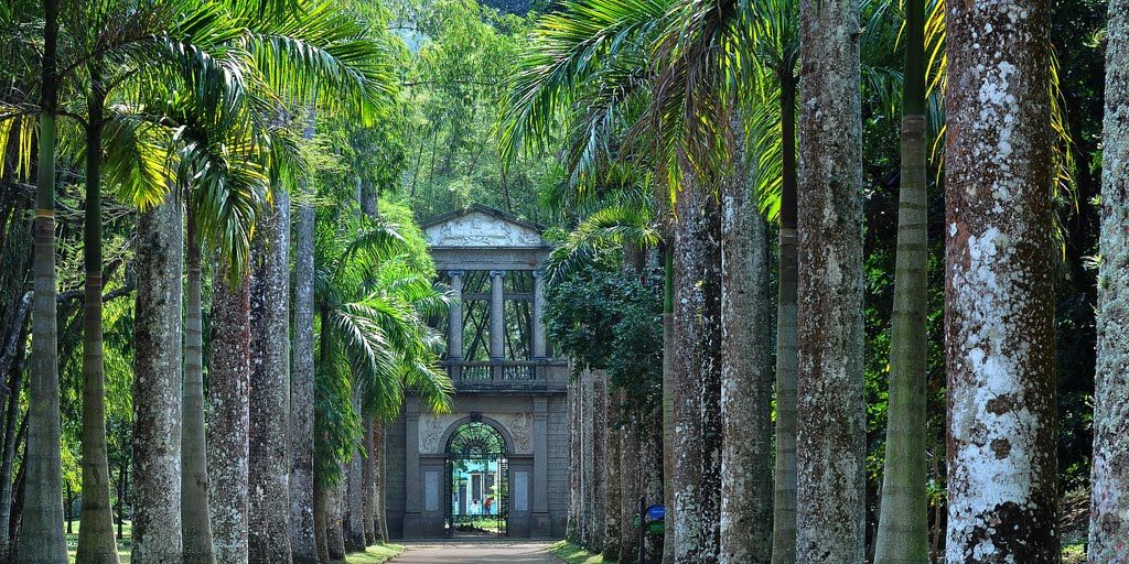 3. Jardim botânico