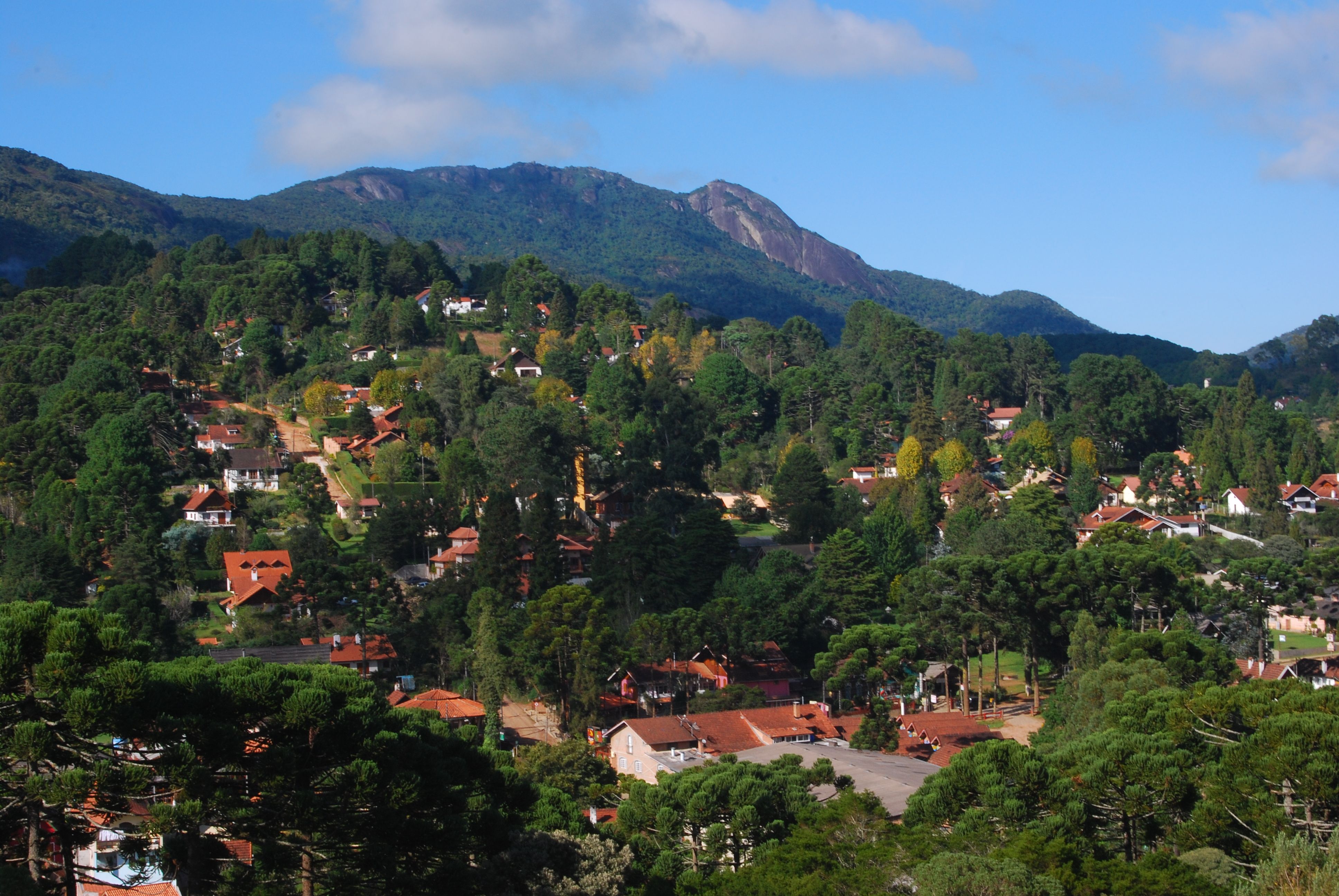 Monte Verde
