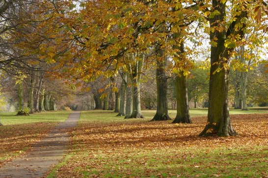 GuestToGuest, viagem, economia colaborativa, parques públicos, reino unido