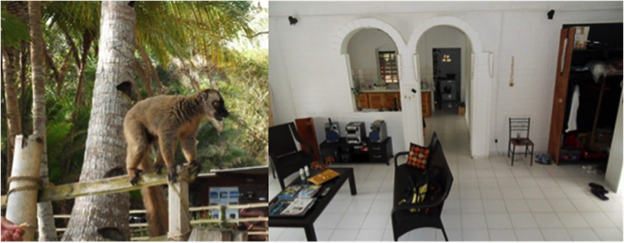 Mayotte-troca-de-casa-animais-casa-incomum